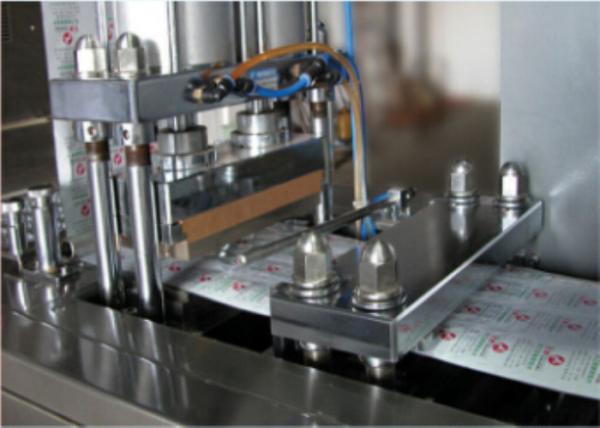 AL PVC AL Pharma Blister Packaging Machine Carton Production Line High