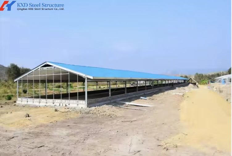 Broiler Poultry Prefab Houses Steel Structure Fully Automated Chicken Farming Equipment