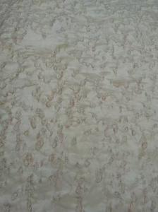 Quality Sliced Natural Birds Eye Maple Wood Veneer Sheet wholesale