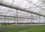 Anti Wind Climate Control Lettuces Multi Tunnel Greenhouse