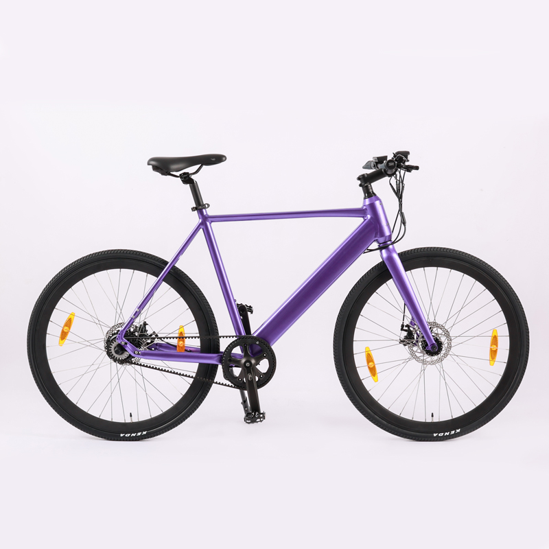 36V 250W Road Ebike with Hidden Battery and Machinery Disc Brake Smart Electric Bike