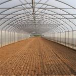 UV Resistant Single Span Clear Plastic Greenhouse Polyethylene Film Greenhouse