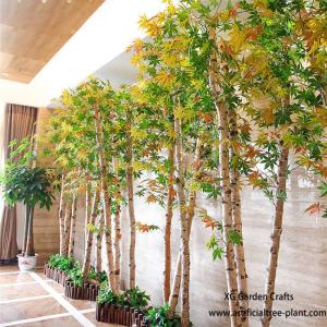 Quality Indoor Simulation Birch Tree Autumn Maple Leaves Show Window Screen Decoration wholesale