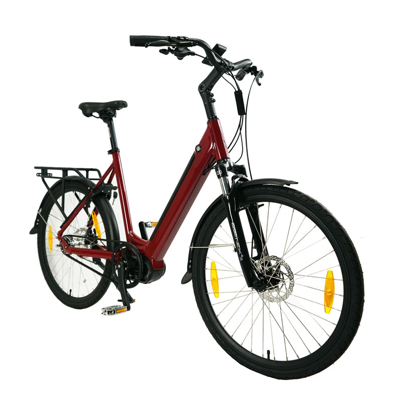 Electric Bicycle for Adults Fast Speed Customized Design and 1-3 Hours Charging Time