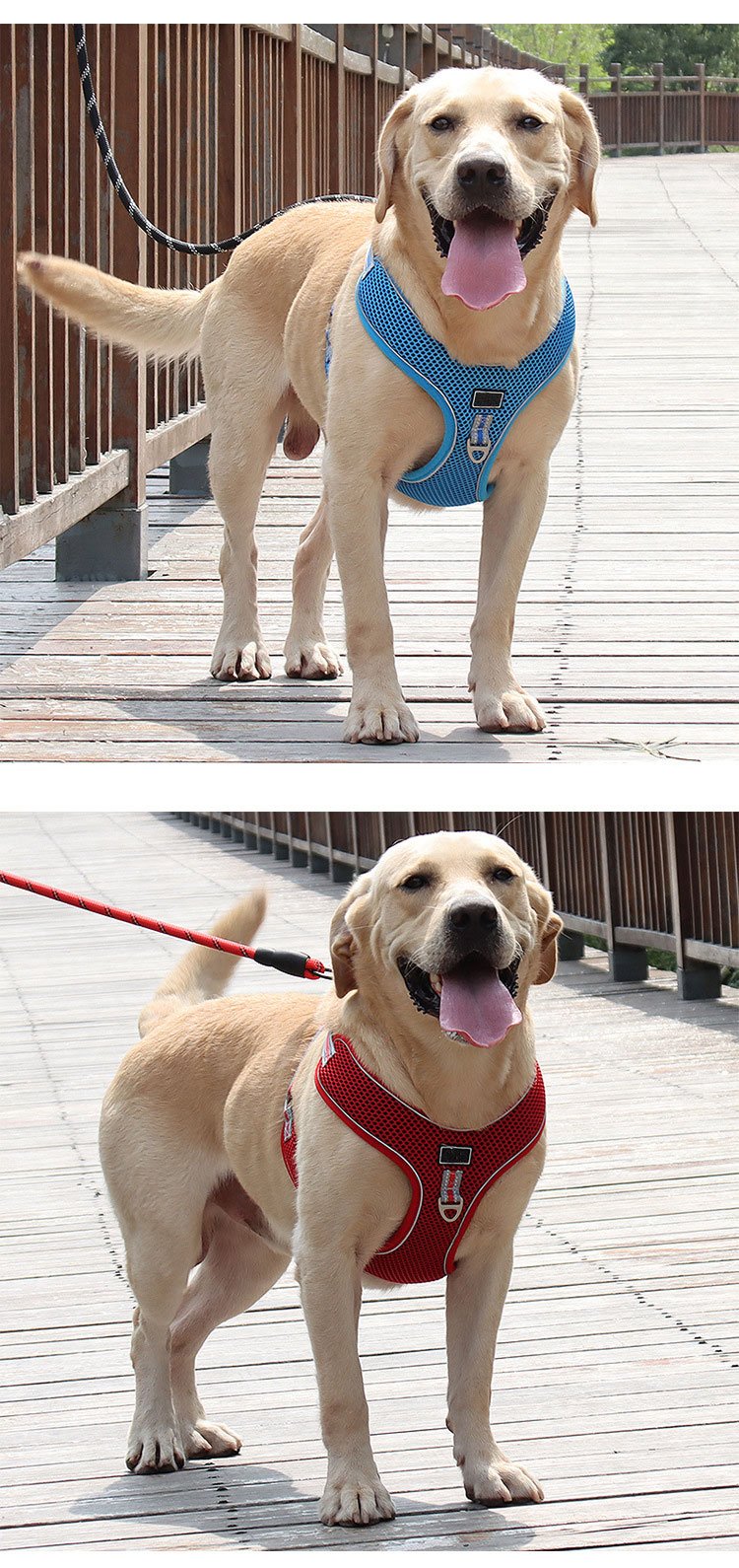 Baby Blue Pet Vest Harness Reversible Personalised Dog Harness