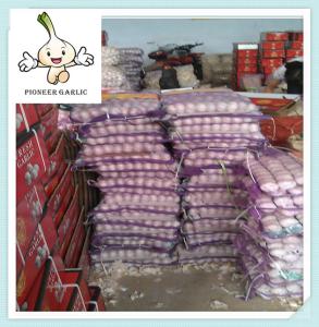 Quality Normal White Garlic Loose Packing 20 Kg Mesh Bag Fresh China Natural Garlic Price wholesale