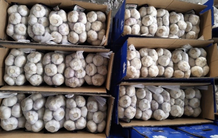 4.5cm Pure White Natural Fresh Onion No Black Mould
