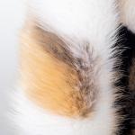 Multicolored Jacquard Artificial Fur Fabric for Sexy Beauty Clothing and Winter