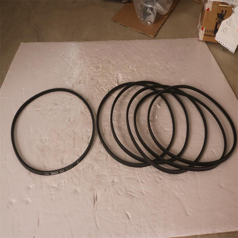 Bukh V-Belt 542A0611