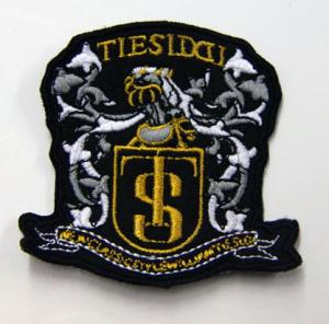 Quality TS Dragon Custom Embroidered Patches Cotton Fabric for Soccer Suit wholesale