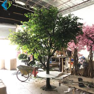 Quality Fiberglass Trunk Artificial Ficus Tree 5-10 Years Life Time 11ft Height wholesale