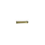 Stainless Steel Implant 2.4mm Locking Bone Screw Orthopedic Surgery Instrument