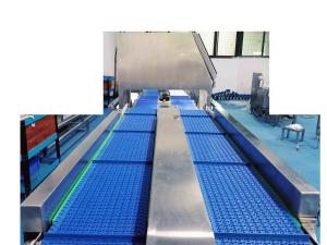 Quality SUS304 Weight Grading Machine 200g AC220V Vegetable Grading Machine wholesale