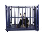 Rechargeable 2000kg Animal Weighing Scales Carbon Steel