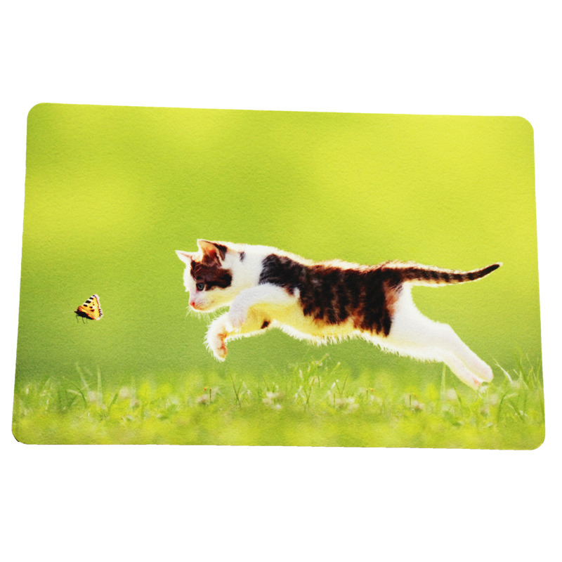Minglu BFM-004 Rubber Non Slip Door Mats Kitchen door mat Absorbent Indoor Bathroom Floor Mat