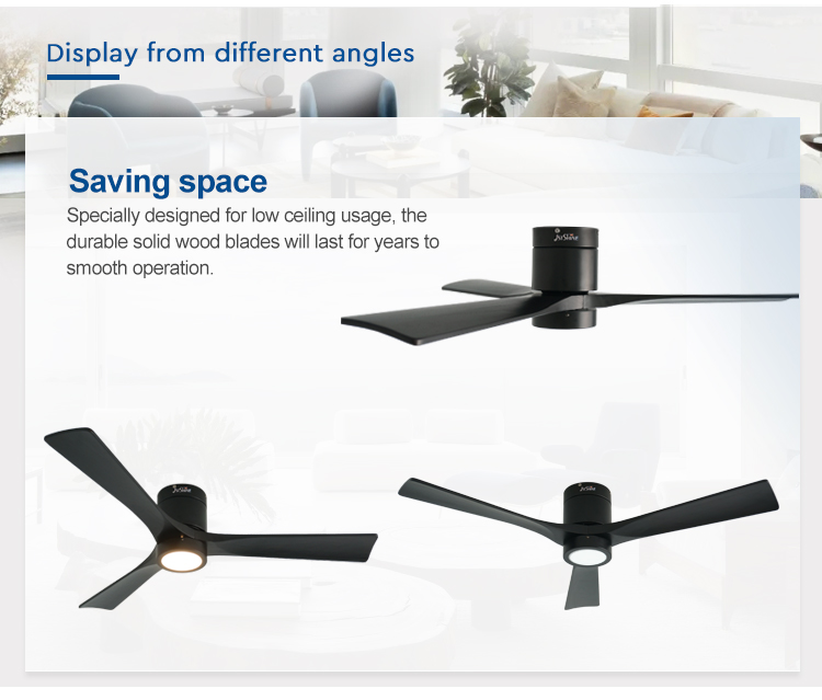 ceiling fan with light