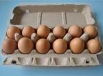 Small Capacity Paper Egg Carton Making Machine , Waste Paper Pulp Molding