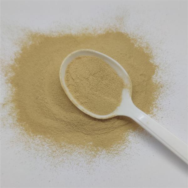 Brewer'S Yeast Powder 45% Animal Feed Yeast High Proteins Feed Additive for