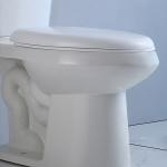 Elongated 2 Piece Toilet Watersense Commercial Toilets Soft Closed PP Seat