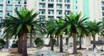 Supplier Height 500cm Artificial Date Palm Tree High Quality Outdoor Tropical