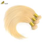 Factory Direct Sale Brazilian Virgin Human Hair 613# Blonde Straight Hair Bundle