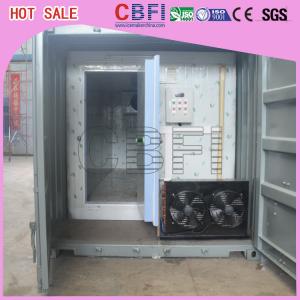 Quality Stainless Steel Panels Container Cold Room American Copeland Scroll Compressor wholesale