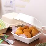 Customized Sugarcane Bagasse Burger Box Biodegradable Food Container Different