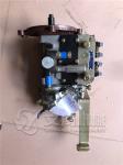 YTO engine original spare parts BH4W10545Y-193 injection pump