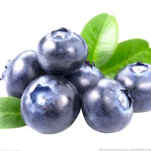 Quality ISO Automatic Fruit Processing Equipment Industrial Blueberry Washing Machine wholesale