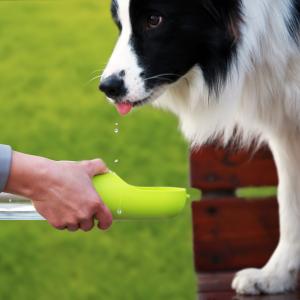  				Aqua Dog Water Bottle for Dog Outside Travel Bottle 	        