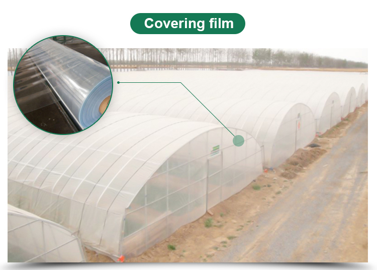 Optimal Plant Cultivation Tunnel Greenhouse Covered with 150/200micro PO Film