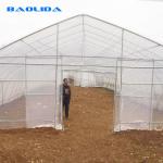 Single-span Arch Polyethylene Film Pumpkin 6m High Tunnel Plastic Greenhouse For