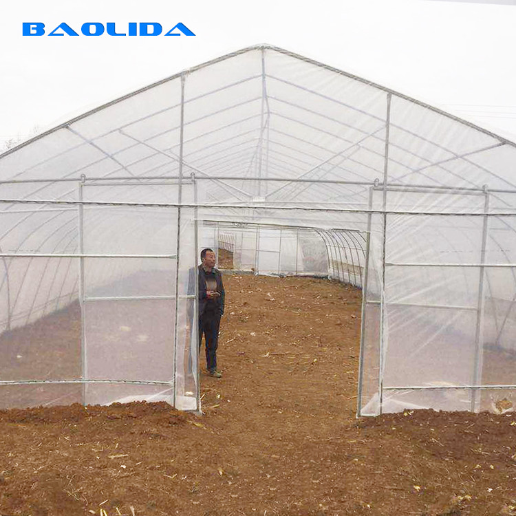 High Tunnel Agricultural Polyethylene Film Greenhouse For Tomato