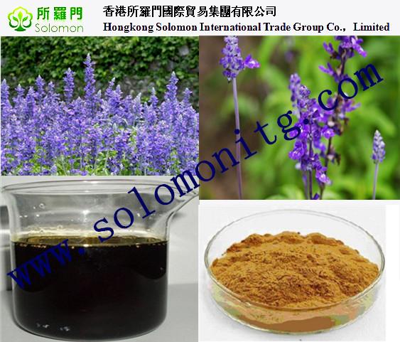 salvia sclarea extract China manufacturer --Salvia Miltiorrhizae bge extract