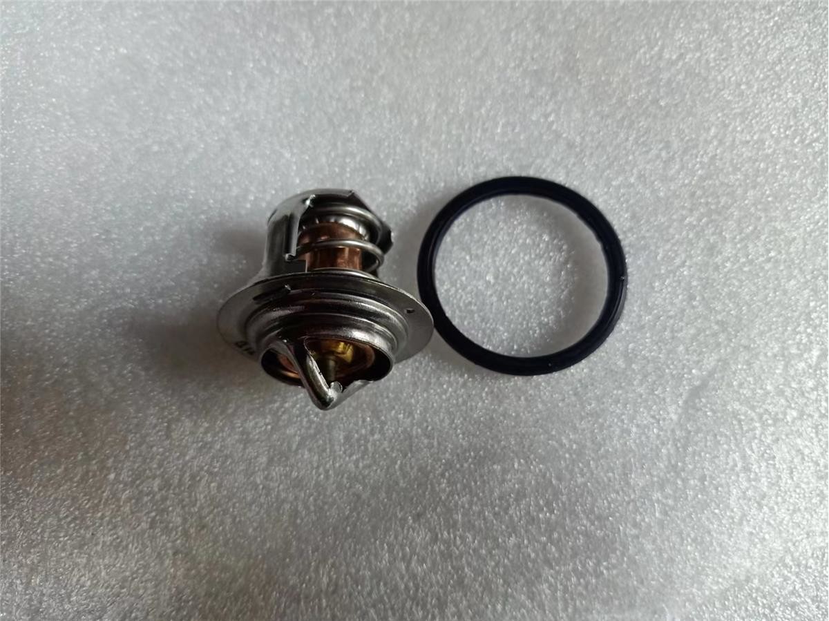 2495541 Thermostat For CAAT Engine Parts
