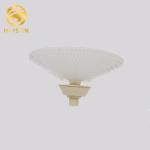 260mm Wastewater Treatment Coarse Bubble Diffuser