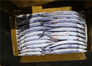 Quality Natural Color Size No.2 A Grade Frozen Pacific Saury wholesale
