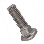Custom Shape 10.9 Grade Bolt , Din 603 Carriage Bolt Corrosion Resistance