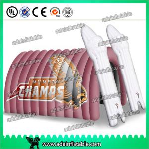 Quality Party Decoration Inflatable Entrance Tunnel Custom wholesale