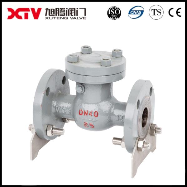 Metal Seal Stainless Steel 304/316L Flanged Swing Check Valve for Pump System