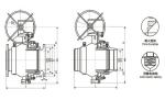 Trunnion Mounted Ball Valve