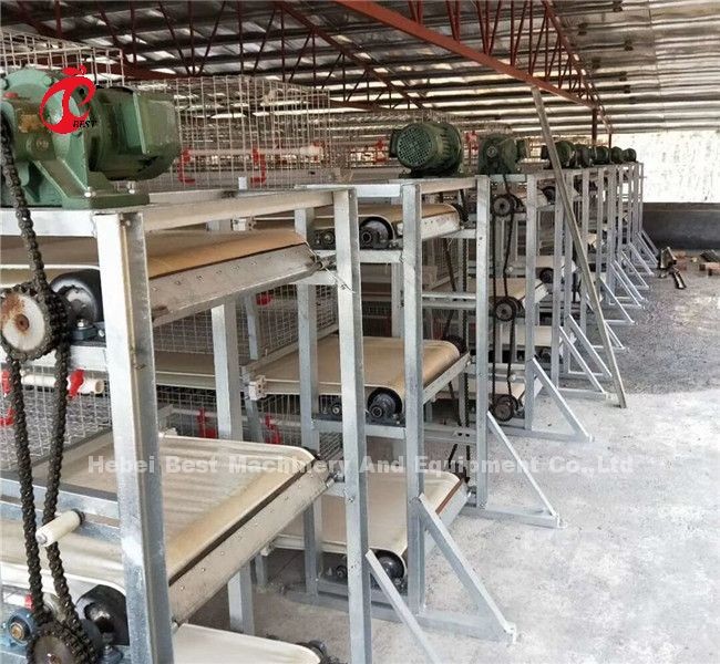 380V Poultry Chicken Farm Scraper And Belt Automatic Manure Removal Machine Ada