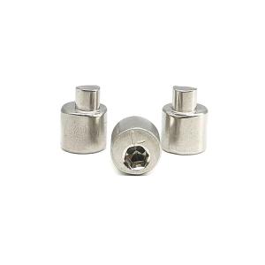 Quality Industrial Use Stainless Steel Eccentric Adjustment Screw with 4.5mm Thread Length wholesale