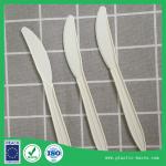 biodegradable disposable dinner knife no plastic