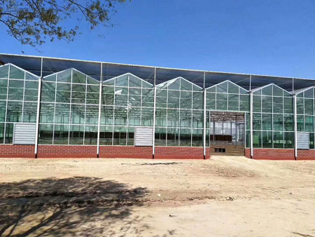 Hydroponic Vertical Farming Greenhouse for Herb and Tomato Growing in Customized Size