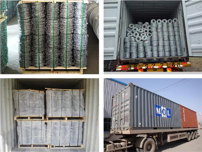 Class 1 Standard 12.5 Guage Galvanised Steel Barbed Wire 2 Points 5 Inch Spacing
