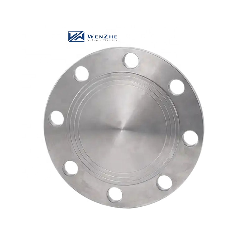 Customized Forged Blind Flange For Stainless Steel 304 316 316L In Carbon Steel