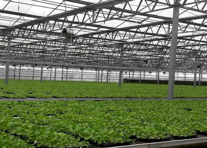 Venlo Type PC Sheet Greenhouse Cover Thickness 4 / 8 / 10mm Simply Constructed And Installed