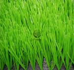 High Quality 50MM Mini Football Field Artificial Grass