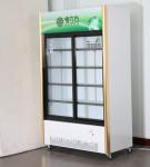 Commercial Double Glass Door Display Freezer Sliding Beverage